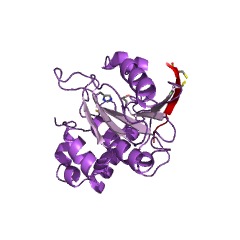 Example Structure of adenain EC#: 3.4.22.39
