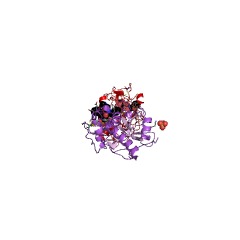 Example Structure of cathepsin V EC#: 3.4.22.43