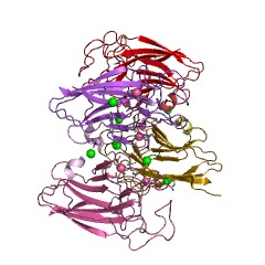 Example Structure of gingipain K EC#: 3.4.22.47