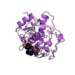 Example Structure of cruzipain EC#: 3.4.22.51