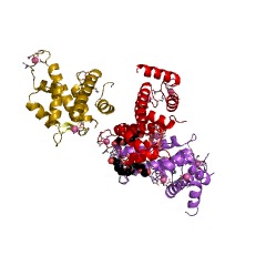 Example Structure of calpain-3 EC#: 3.4.22.54