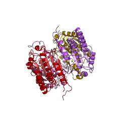 Example Structure of caspase-6 EC#: 3.4.22.59
