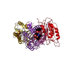 Example Structure of caspase-9 EC#: 3.4.22.62