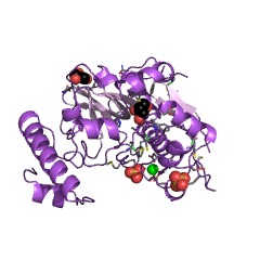 Example Structure of peptidase 1 (mite) EC#: 3.4.22.65