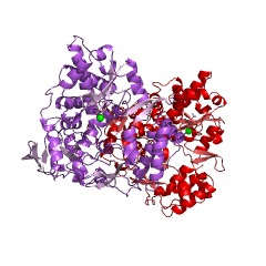 Example Structure of calicivirin EC#: 3.4.22.66