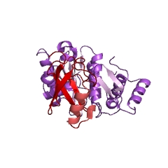 Example Structure of Ulp1 peptidase EC#: 3.4.22.68