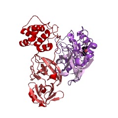 Example Structure of SARS coronavirus main proteinase EC#: 3.4.22.69