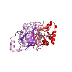Example Structure of sortase A EC#: 3.4.22.70