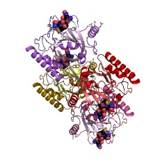 Example Structure of sortase B EC#: 3.4.22.71