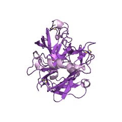 Example Structure of pepsin A EC#: 3.4.23.1
