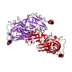 Example Structure of Aspergillopepsin I EC#: 3.4.23.18