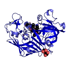 Example Structure of Penicillopepsin EC#: 3.4.23.20