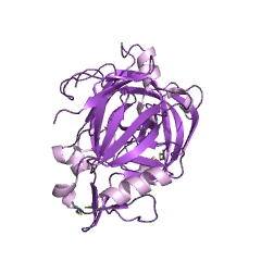 Example Structure of Rhizopuspepsin EC#: 3.4.23.21