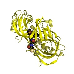 Example Structure of Endothiapepsin EC#: 3.4.23.22