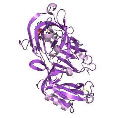 Example Structure of Mucorpepsin EC#: 3.4.23.23