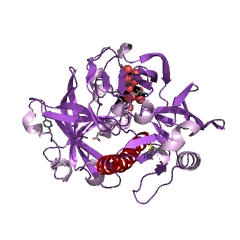 Example Structure of Saccharopepsin EC#: 3.4.23.25