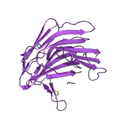 Example Structure of Scytalidopepsin B EC#: 3.4.23.32