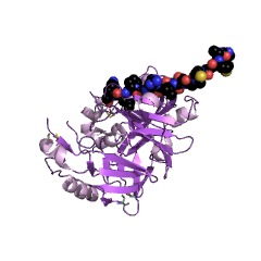 Example Structure of cathepsin E EC#: 3.4.23.34