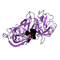 Example Structure of plasmepsin II EC#: 3.4.23.39