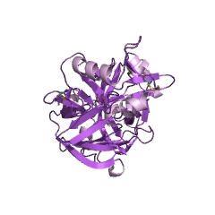 Example Structure of chymosin EC#: 3.4.23.4
