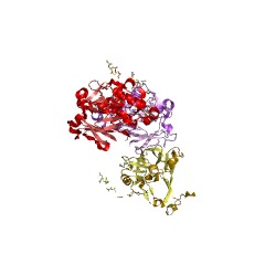 Example Structure of Phytepsin EC#: 3.4.23.40