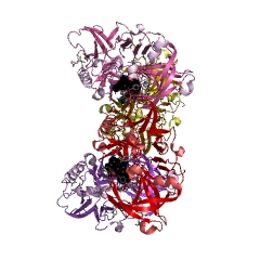 Example Structure of memapsin 1 EC#: 3.4.23.45