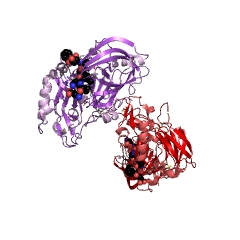 Example Structure of memapsin 2 EC#: 3.4.23.46