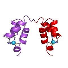 Example Structure of HIV-2 retropepsin EC#: 3.4.23.47