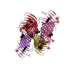 Example Structure of plasminogen activator Pla EC#: 3.4.23.48