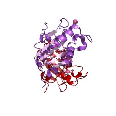 Example Structure of HycI peptidase EC#: 3.4.23.51