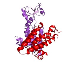 Example Structure of preflagellin peptidase EC#: 3.4.23.52