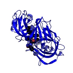 Example Structure of microbial carboxyl proteinases EC#: 3.4.23.6