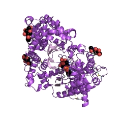 Example Structure of neprilysin EC#: 3.4.24.11