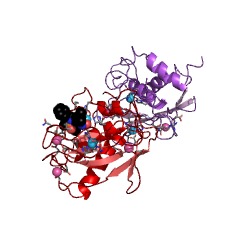 Example Structure of stromelysin 1 EC#: 3.4.24.17
