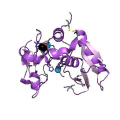 Example Structure of procollagen C-endopeptidase EC#: 3.4.24.19