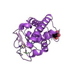 Example Structure of peptidyl-Lys metalloendopeptidase EC#: 3.4.24.20