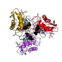 Example Structure of stromelysin 2 EC#: 3.4.24.22