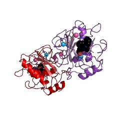 Example Structure of matrilysin EC#: 3.4.24.23
