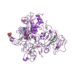 Example Structure of gelatinase A EC#: 3.4.24.24