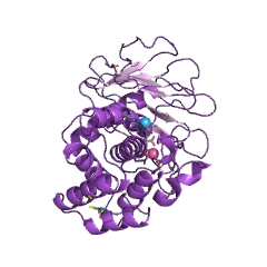 Example Structure of pseudolysin EC#: 3.4.24.26