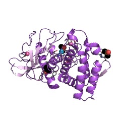Example Structure of thermolysin EC#: 3.4.24.27
