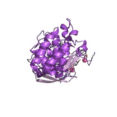 Example Structure of bacillolysin EC#: 3.4.24.28