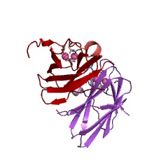 Example Structure of microbial collagenase EC#: 3.4.24.3