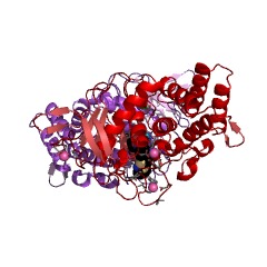 Example Structure of microbial metalloproteinases (included Aeoromonas proteolytica neutral proteinase, Pseudomonas aeruginosa neutral proteinase, Pseudomonas aeruginosa alkaline proteinase, Escherichia freundii proteinase, Bacillus thermoproteolyticus neutral proteinase, Bac EC#: 3.4.24.4
