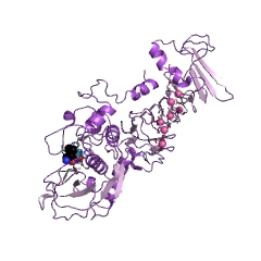 Example Structure of serralysin EC#: 3.4.24.40