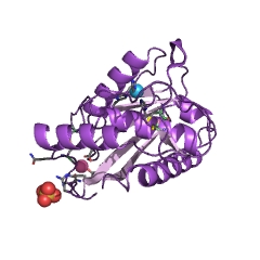 Example Structure of adamalysin EC#: 3.4.24.46