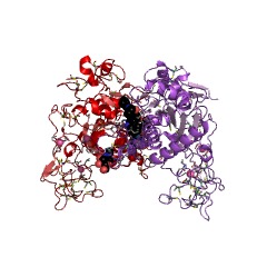 Example Structure of bothropasin EC#: 3.4.24.49
