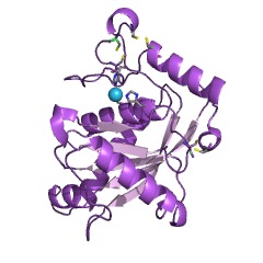 Example Structure of trimerelysin II EC#: 3.4.24.53