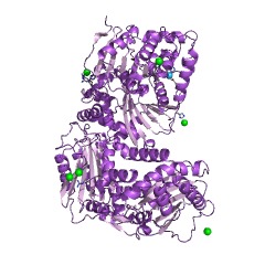 Example Structure of pitrilysin EC#: 3.4.24.55