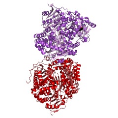 Example Structure of insulysin EC#: 3.4.24.56